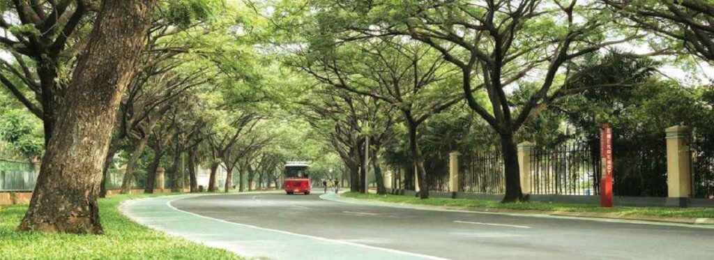 Green tunnel dimutari sutera loop di nykka alam sutera